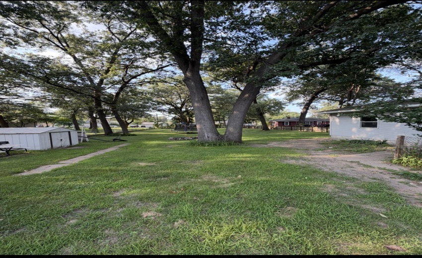 image0 (5)