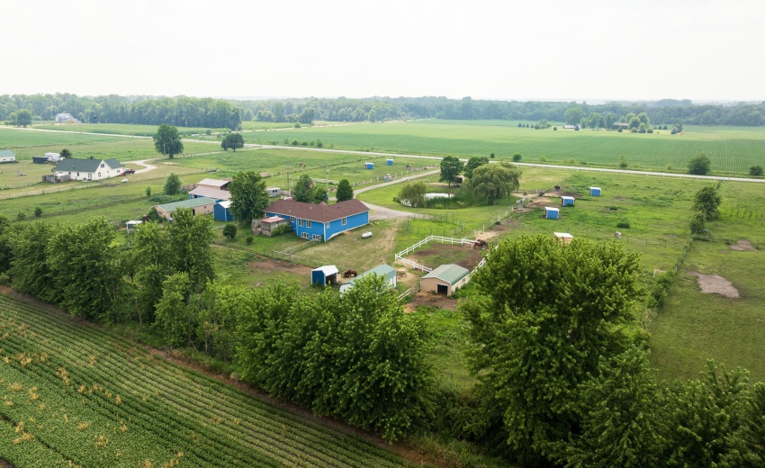 a13