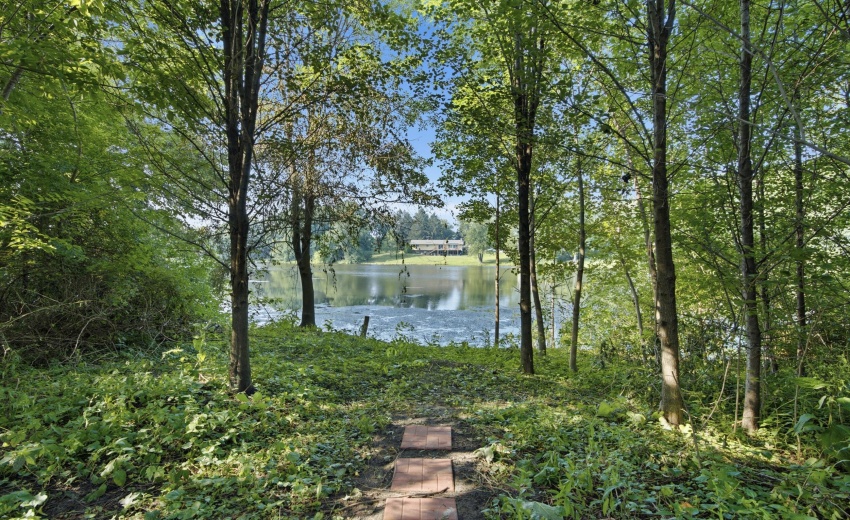 pond