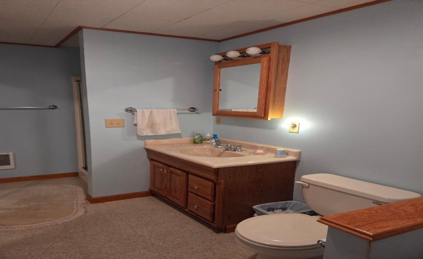 basement bath - Copy