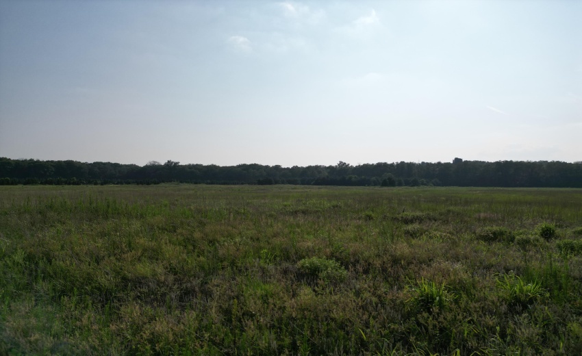 Grand Prairie Lot 4_1