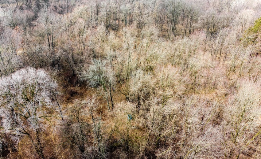 DJI_0526