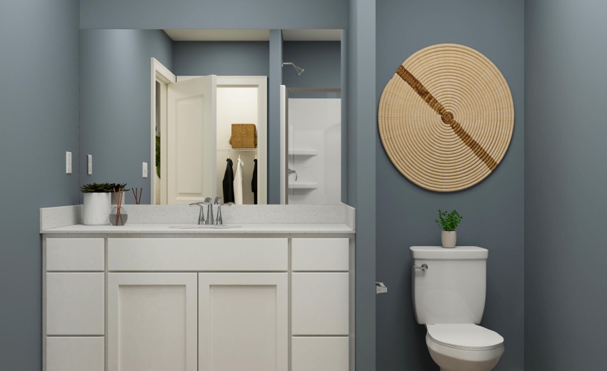 Owner's Bath