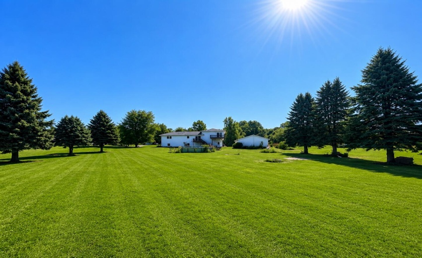 406 Northfield back yard