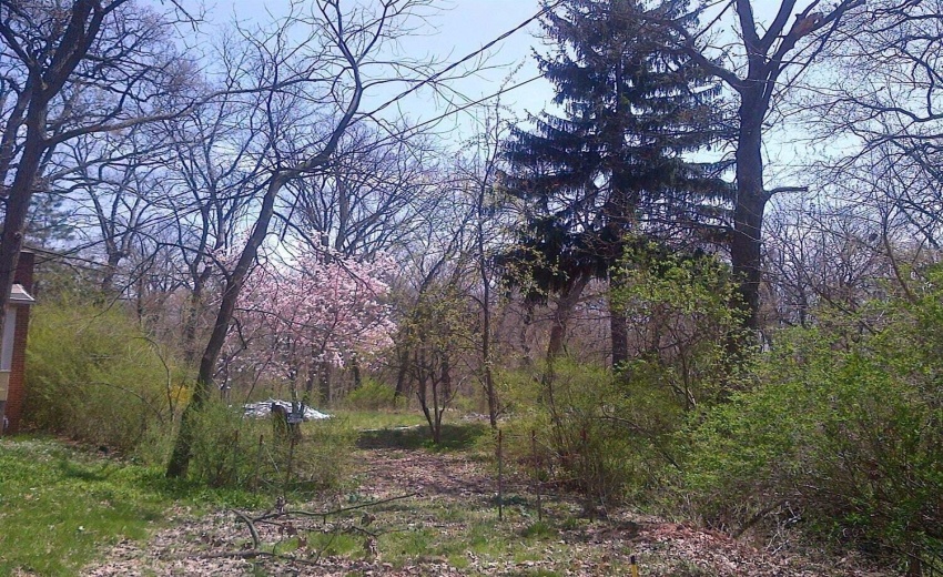 property cleaned up