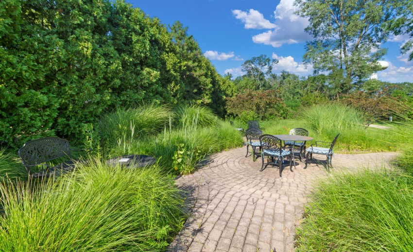 Tranquil  garden paths