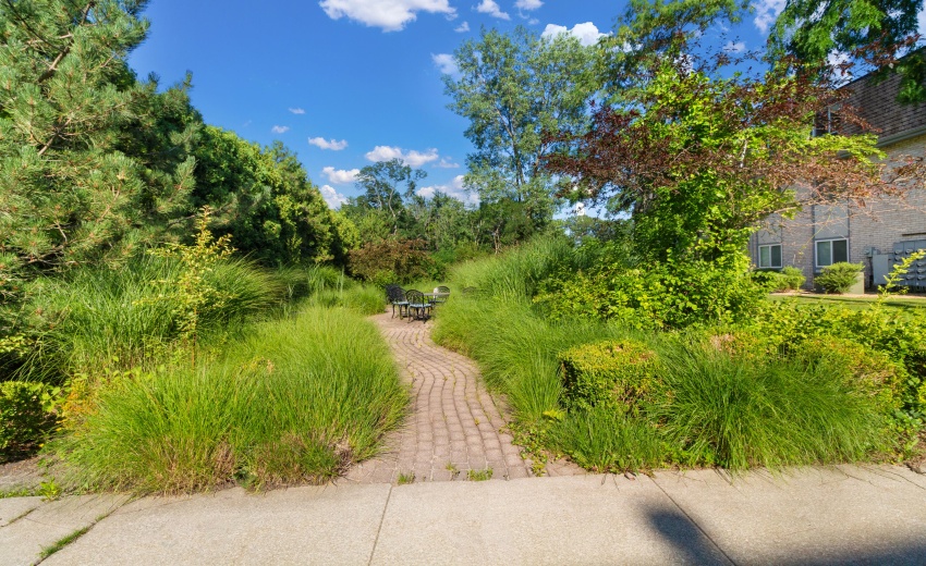 Zen Garden