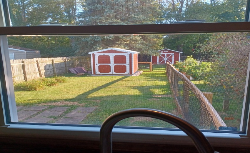 455 Back Yard