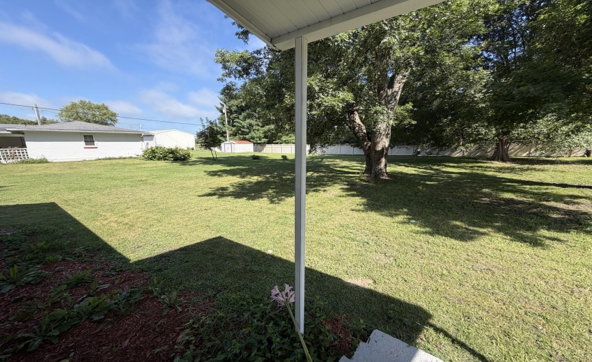 Backyard 2