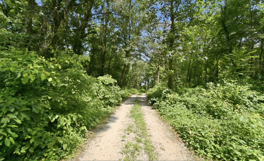Copy of Northwest_Indiana_Media_and_Mark