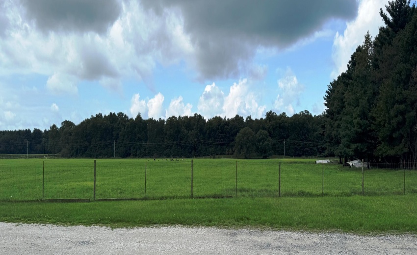 Chix farm pic 6