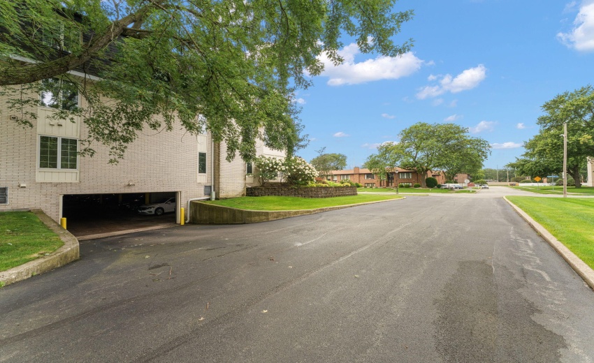 31-web-or-mls-DSC02604