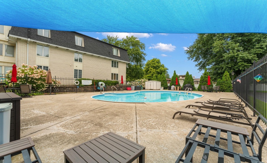 43-web-or-mls-DSC02580