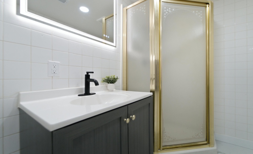 Lower Level Bathroom 2