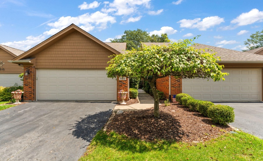 41-web-or-mls-DSC01549