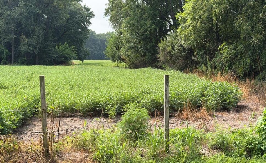 76 acres SR 23 pic 1