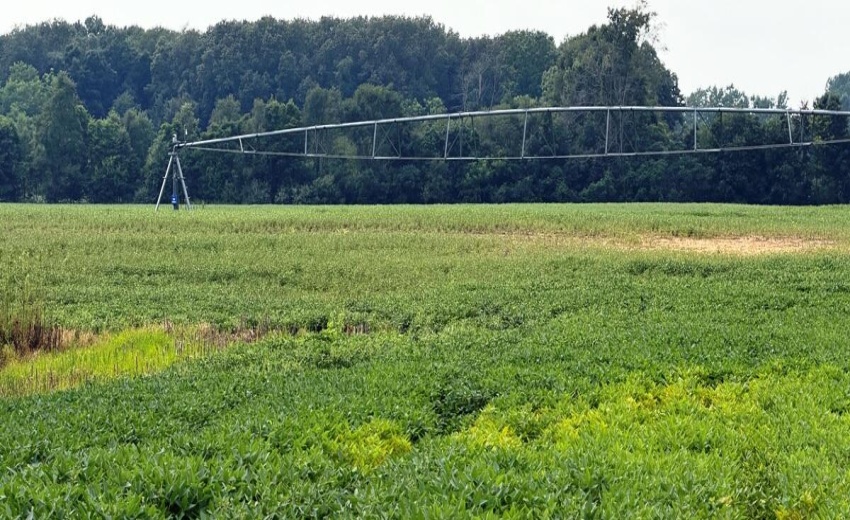 46.64 irr acres pic 1