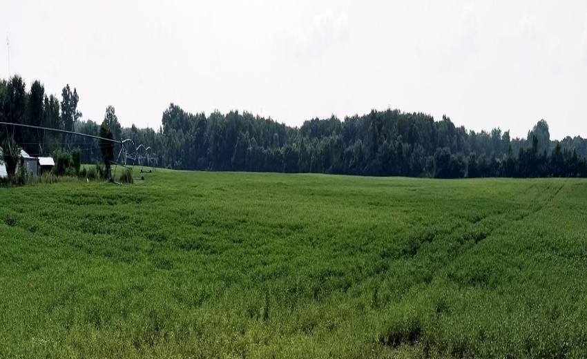 46.64 acres pic 2