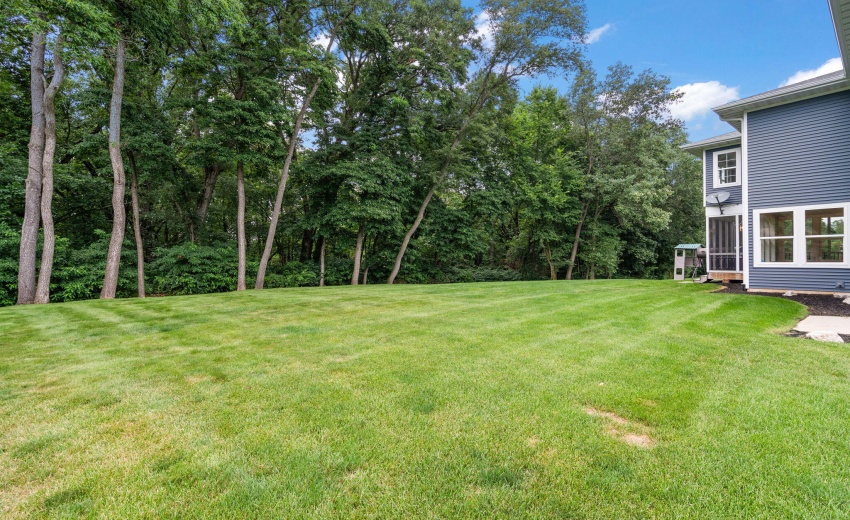 85-web-or-mls-DSC08722