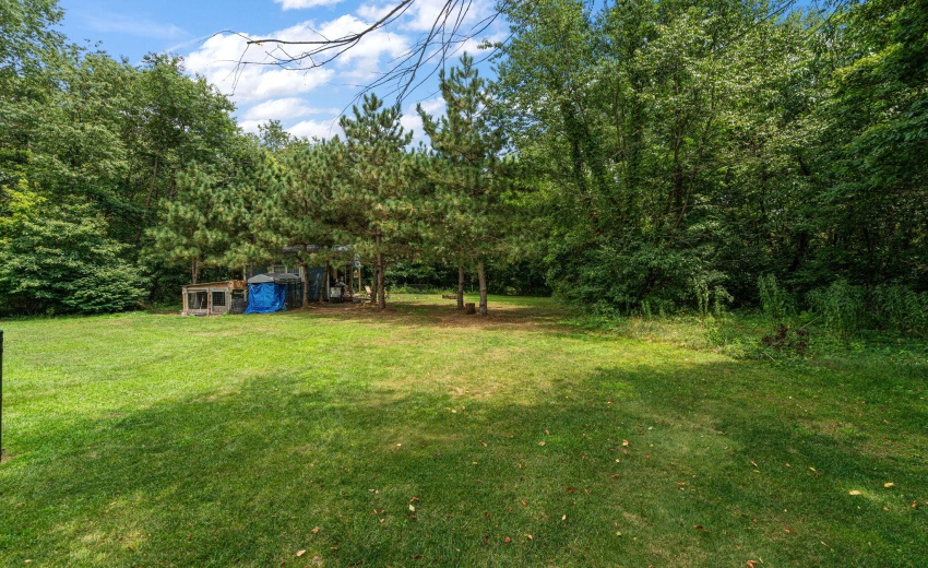 38-web-or-mls-DSC09089