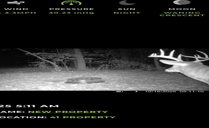 Unknown-3