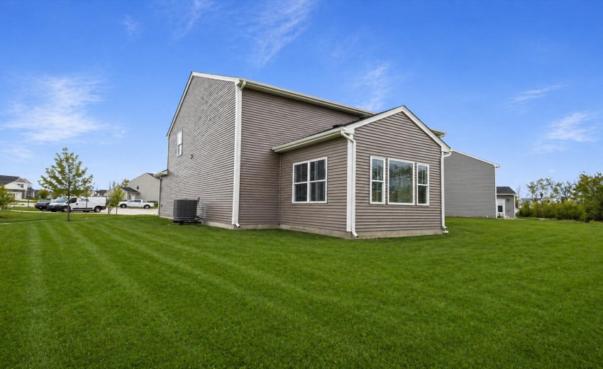 35-nevada-35-grass