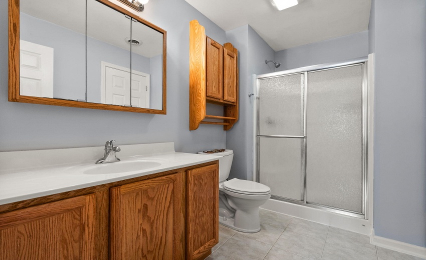 Bathroom Lower Level