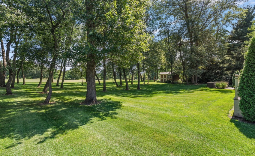 54-web-or-mls-DSC03418