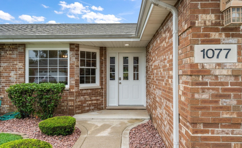 2-web-or-mls-DSC03889