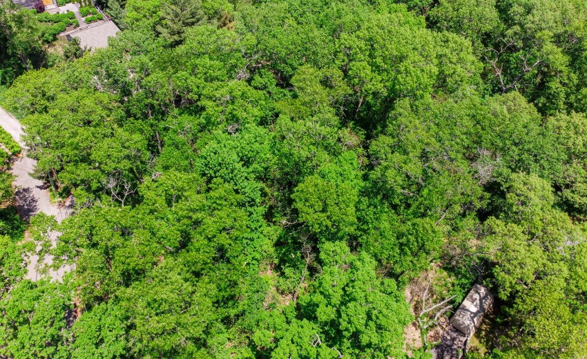 DJI_0084