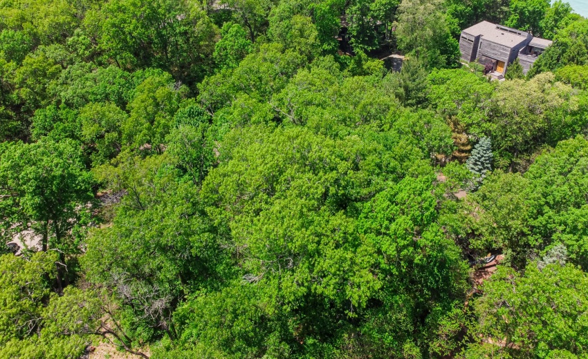 DJI_0087
