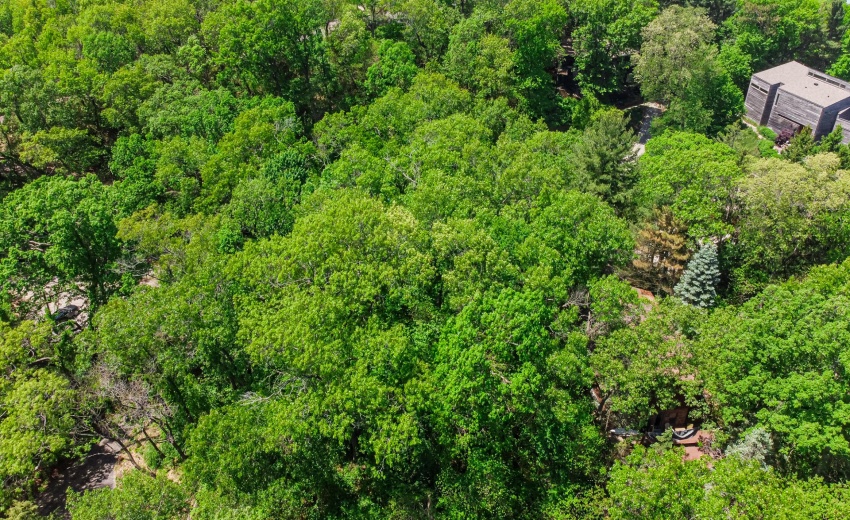 DJI_0088