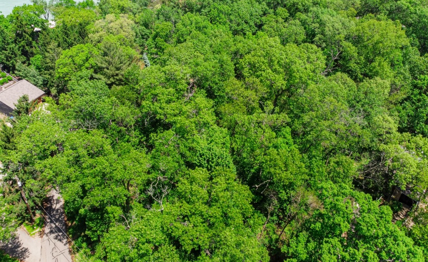 DJI_0090