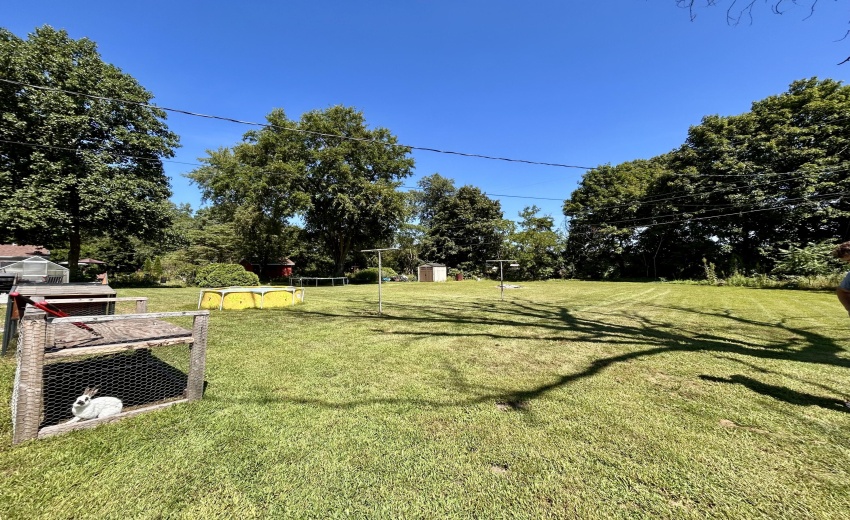 Backyard left