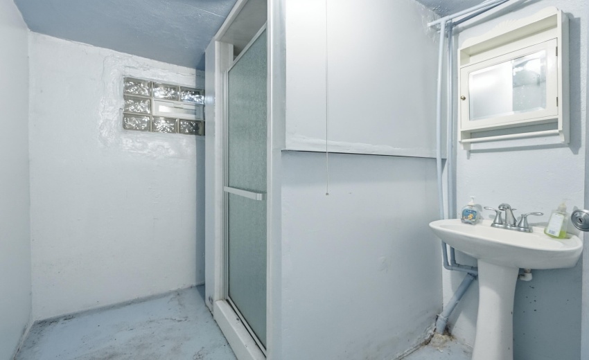 Basement Bathroom