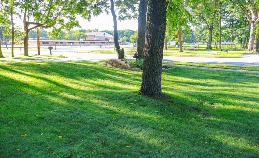 elementary school & park across street