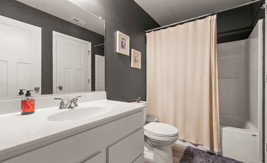 Upper level hallway bathroom
