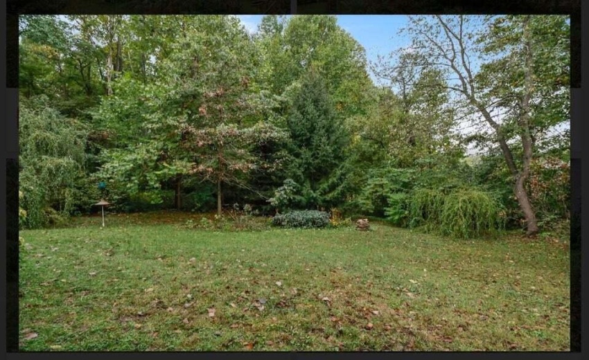 Lot 17 pic2