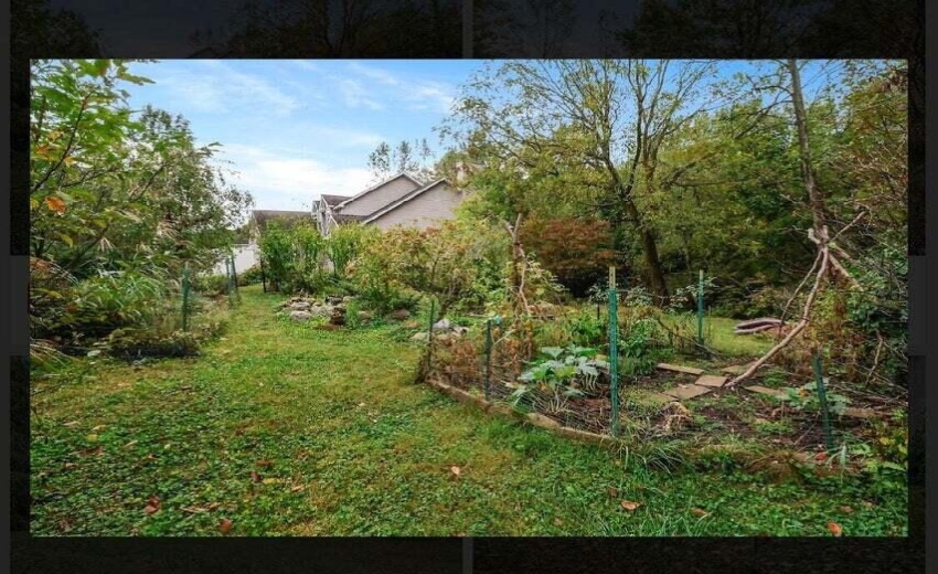 Lot 17 pic3