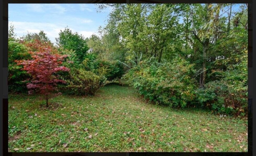 Lot 17 pic1