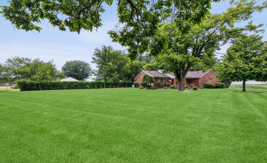 04-Front Yard