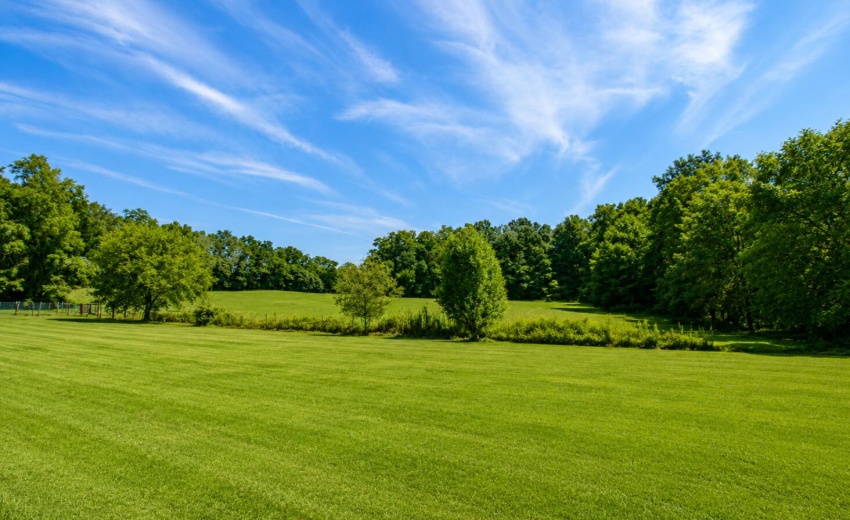 7901 a land view