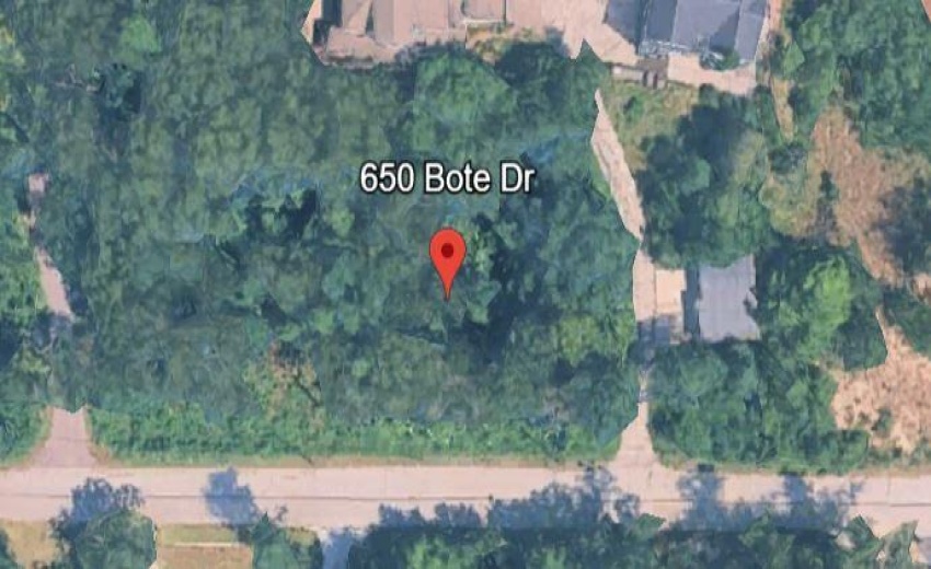 650 Bote