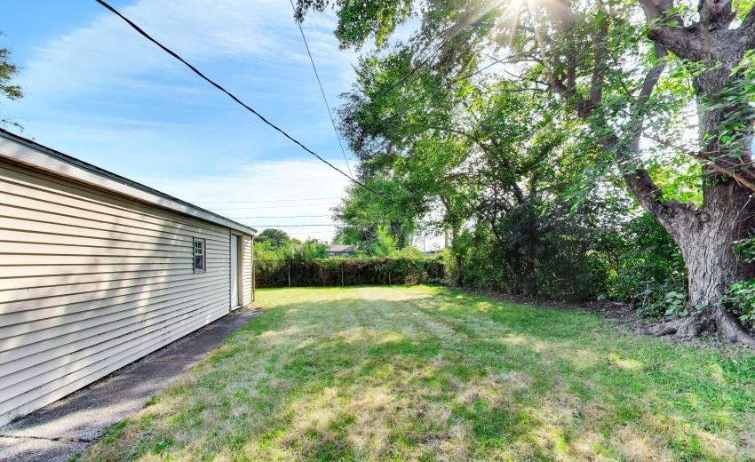 Back Yard