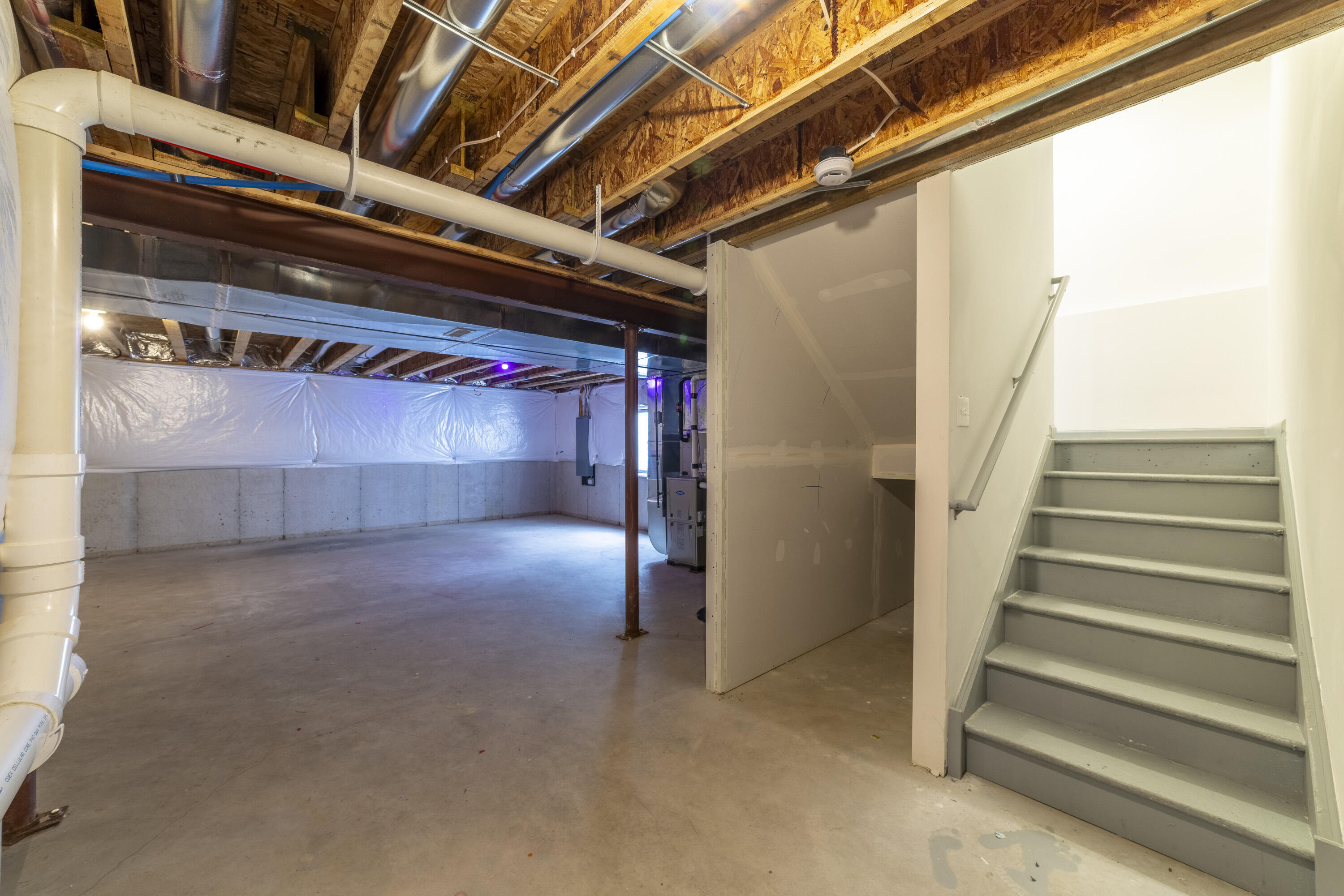 QBasementMonda0046